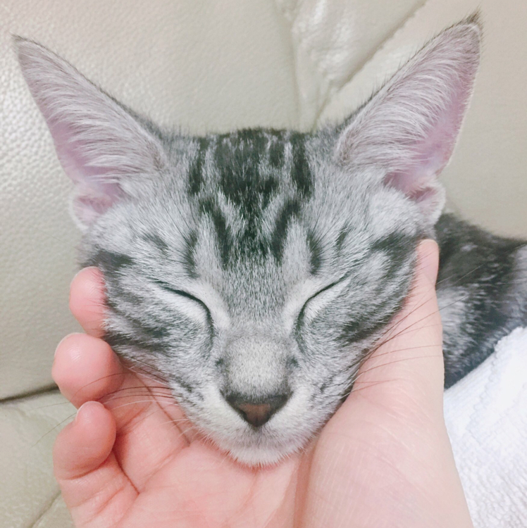 코덕몬스터 프로필