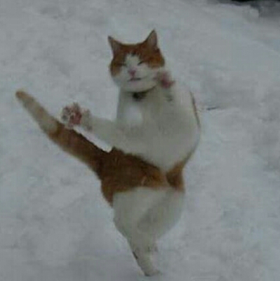 꺄르륽 프로필