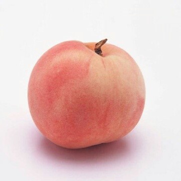 삐꺚츄 프로필