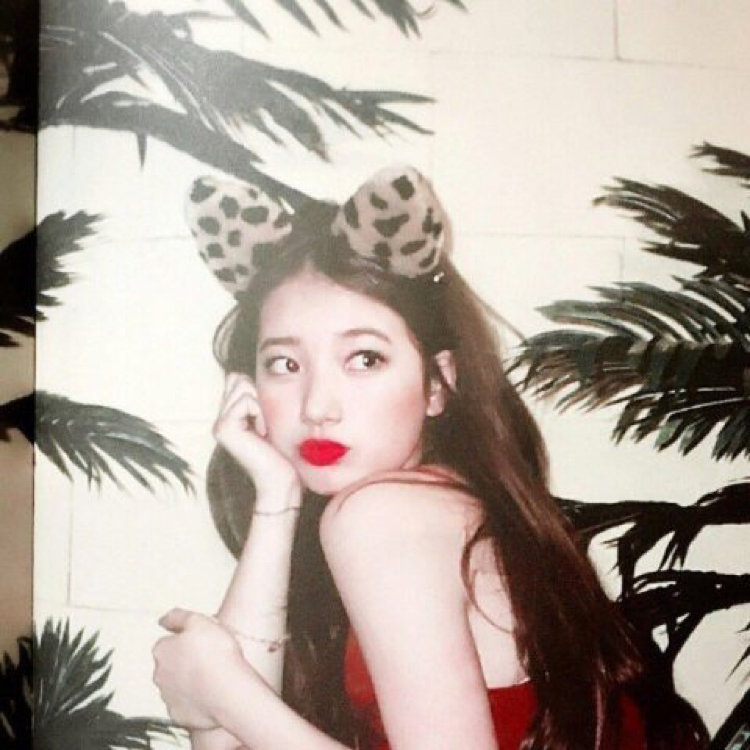 응디야 프로필