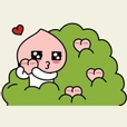 박Yu