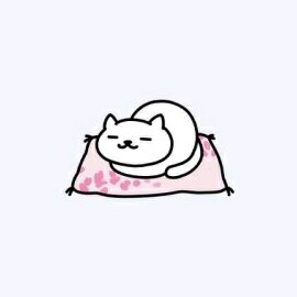 지니니니00 프로필