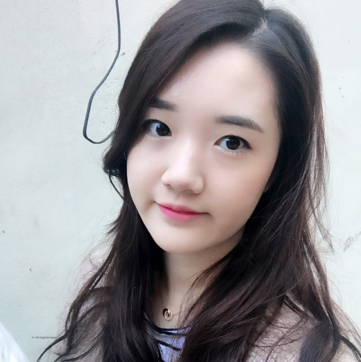 켈로그88 프로필