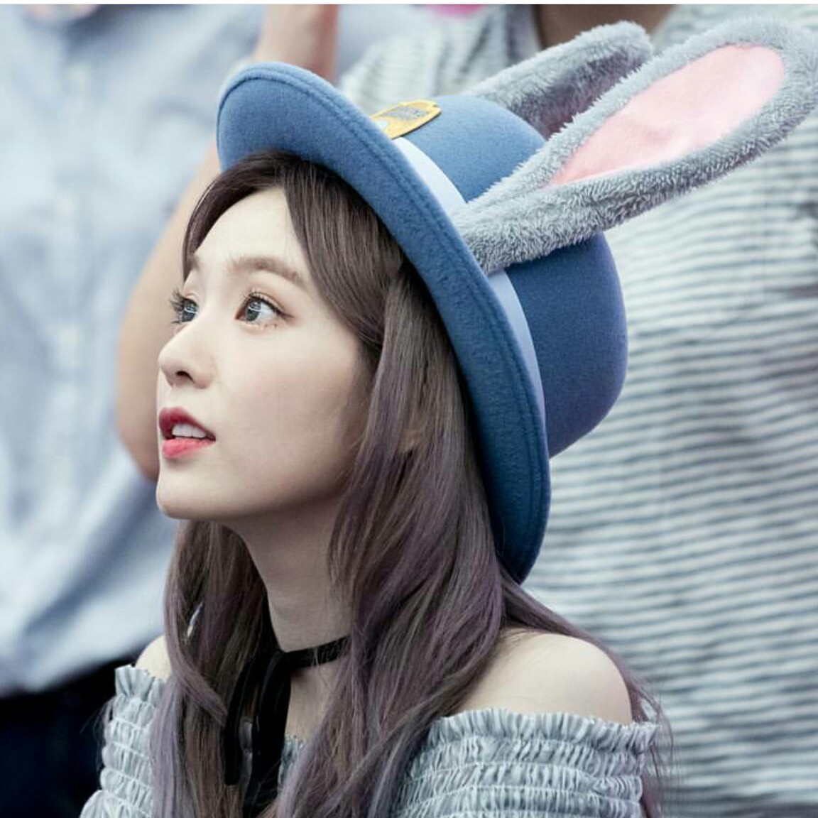 체리맛젤리뽀 프로필