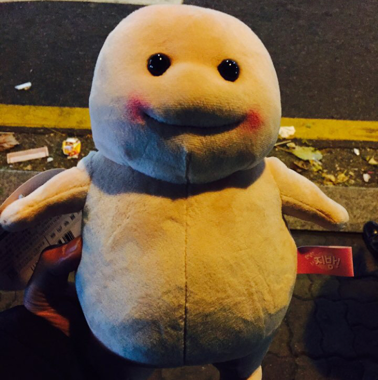 코덕지방이 프로필