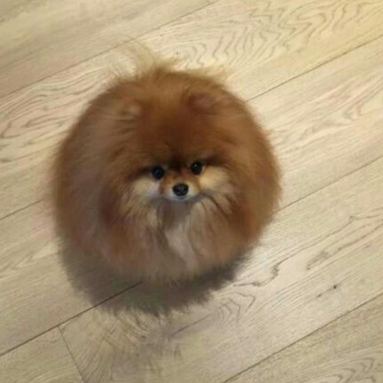 리뷰어 프로필