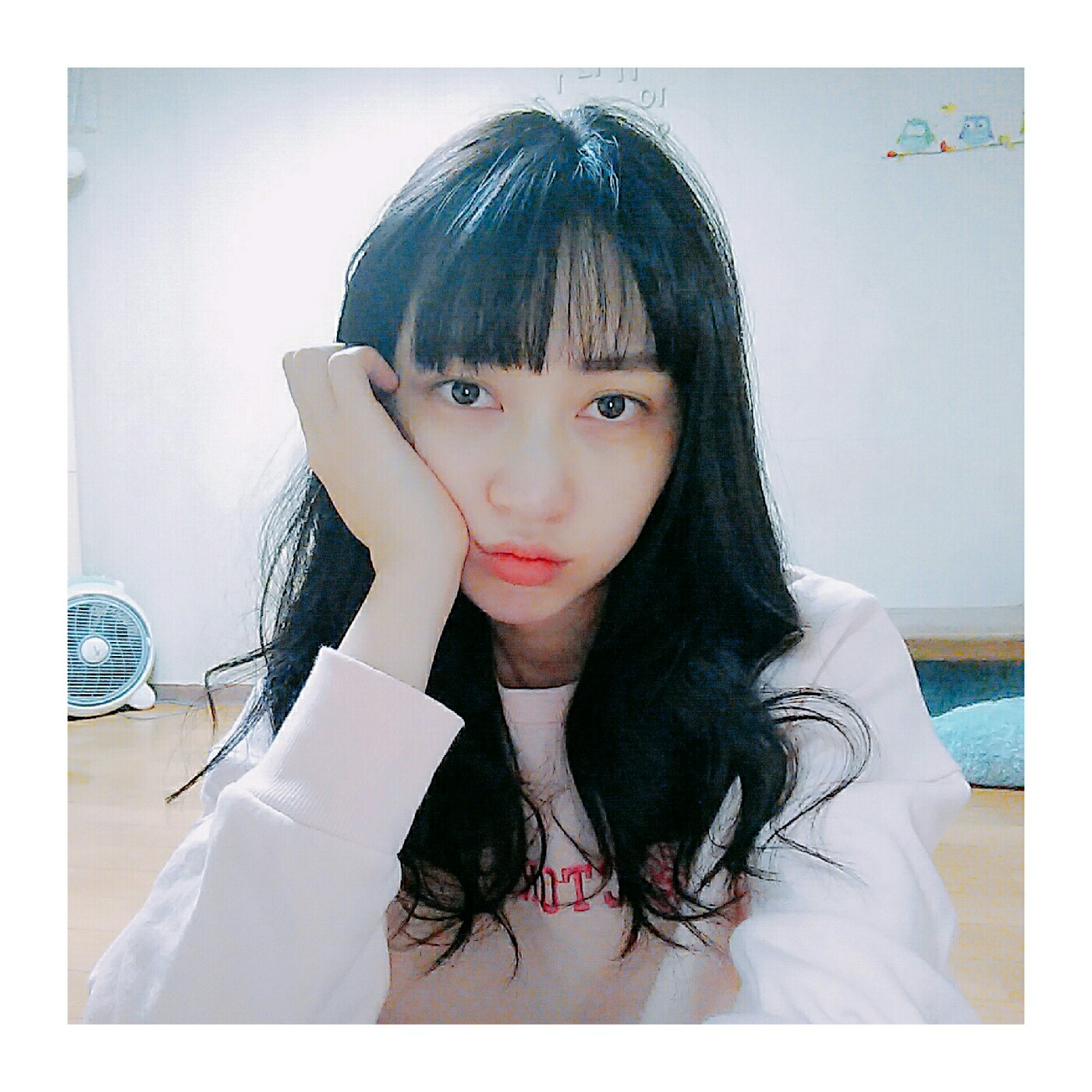 붕어엄마 프로필