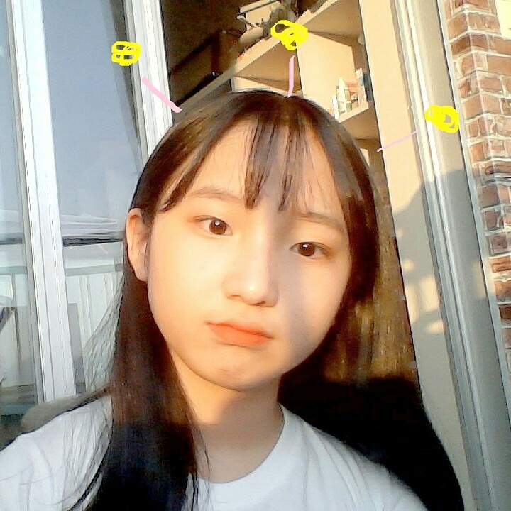 불낙지옒미 프로필