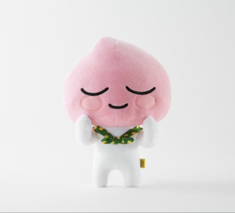 디기디기딩 프로필