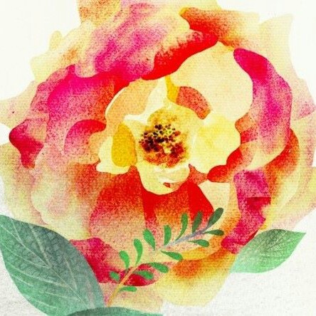 리뷰어 프로필