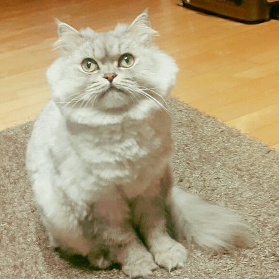 리뷰어 프로필