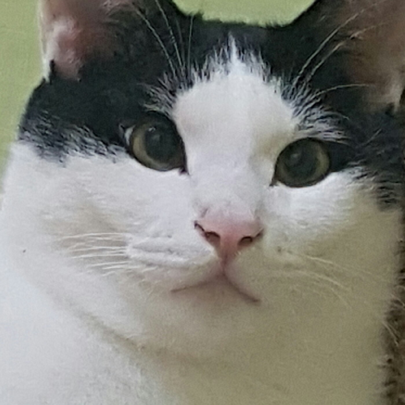 우유팩 프로필