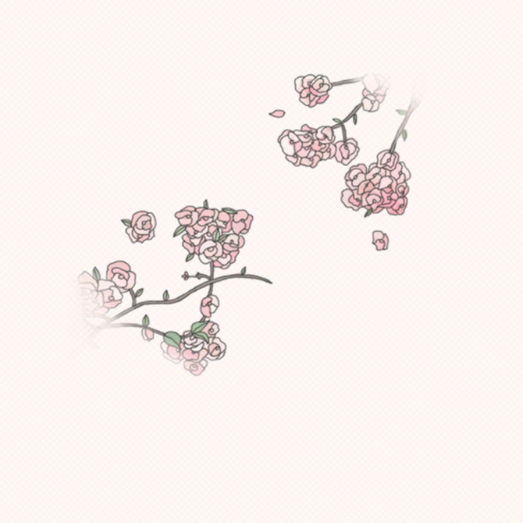 그나물 프로필
