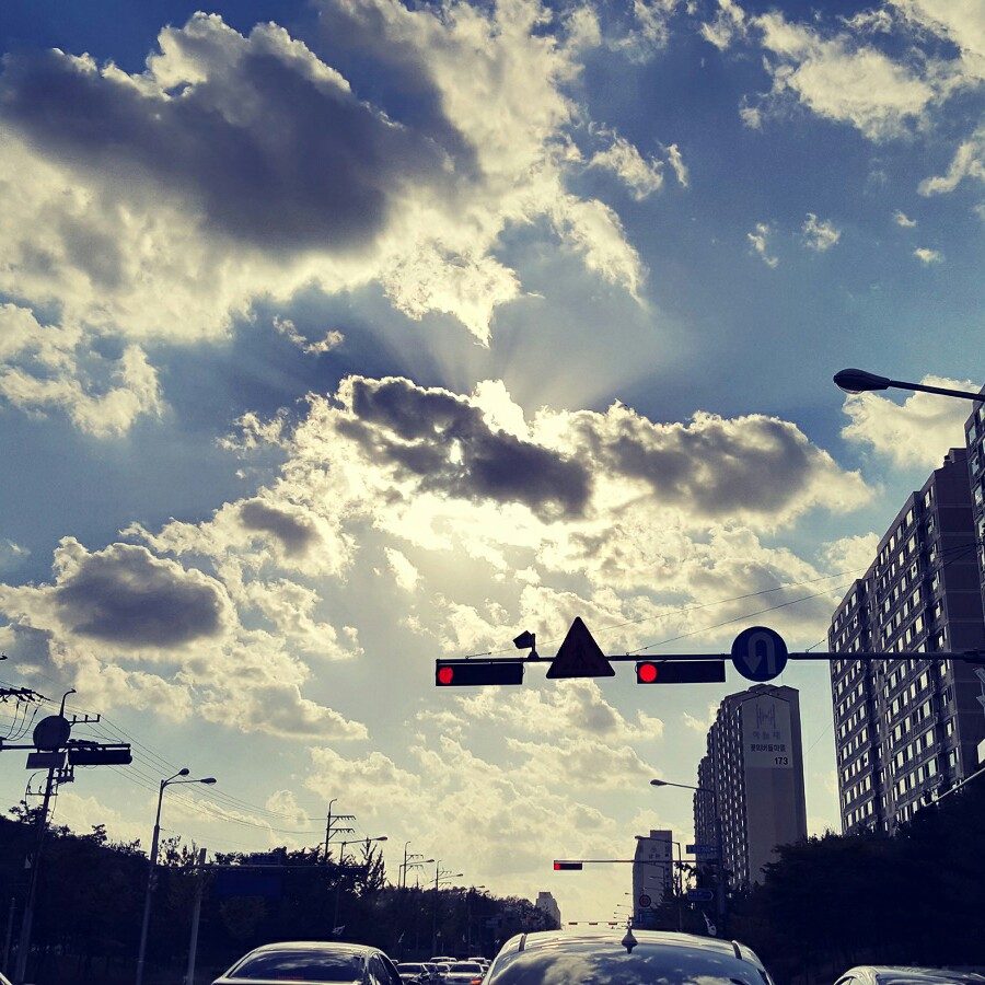 songjh 프로필