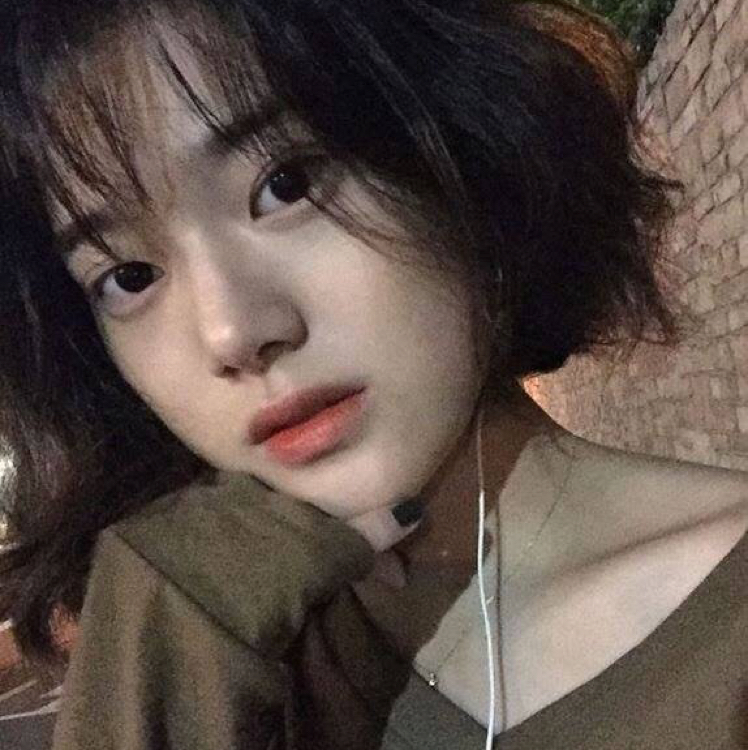 칼씹은꼬부기 프로필