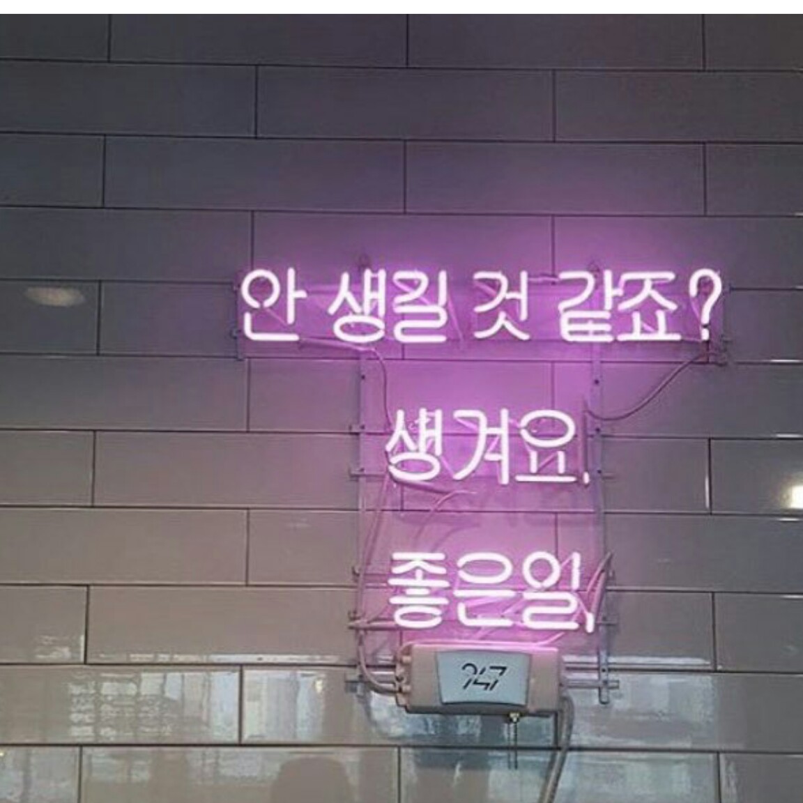 건건성건성녀 프로필