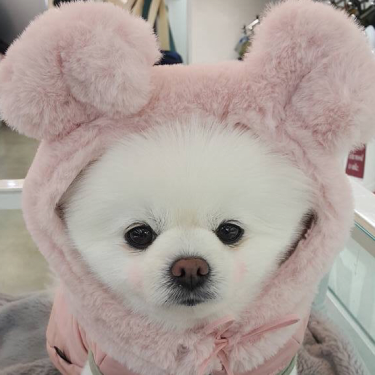 여라 프로필