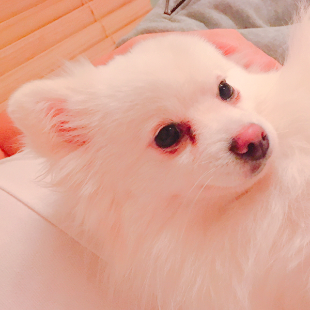 리뷰어 프로필