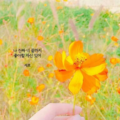 릔루아 프로필