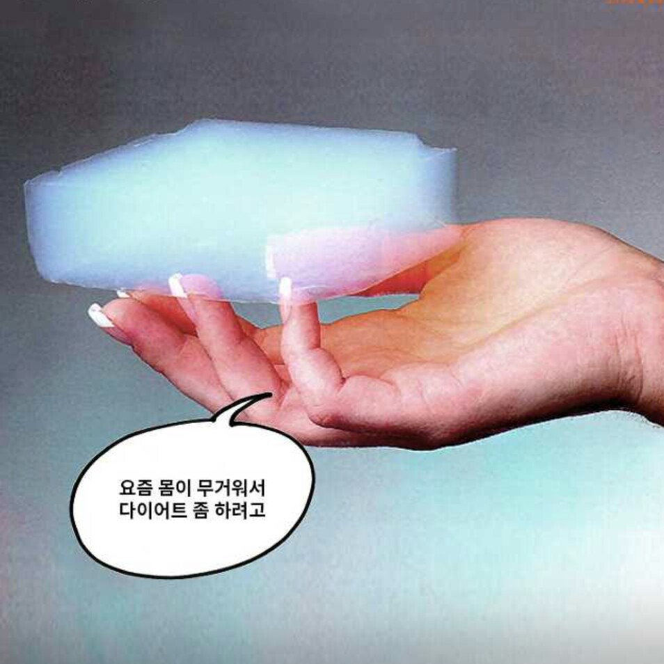 닥터치엔 프로필