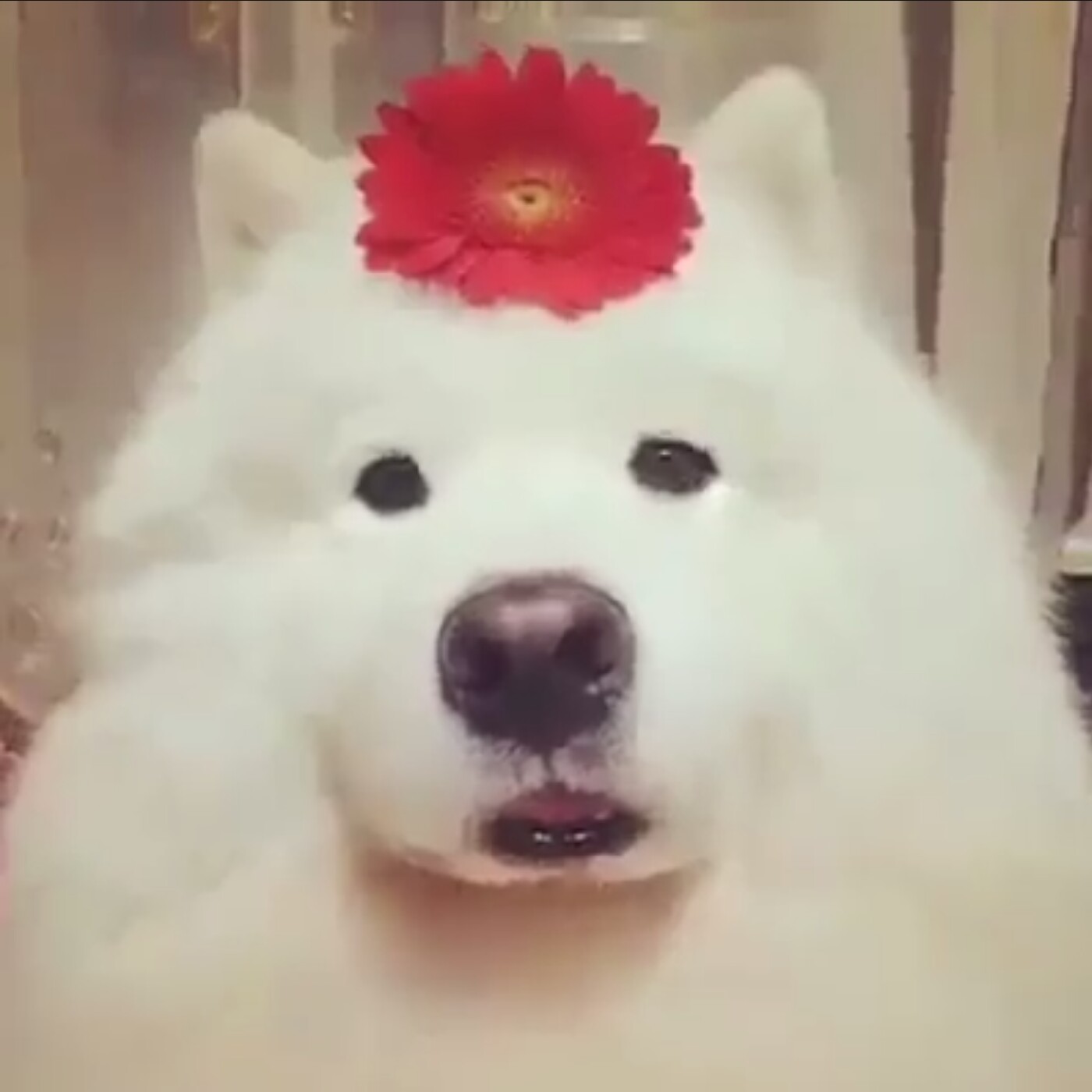 구멍난돌멩이 프로필