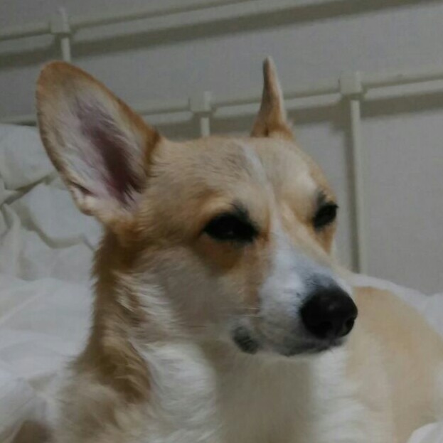 투닝 프로필