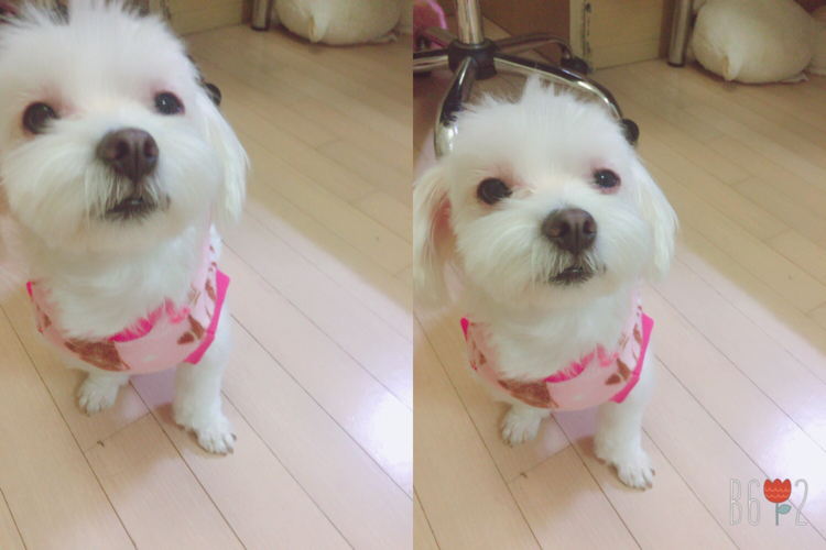보리4021 프로필