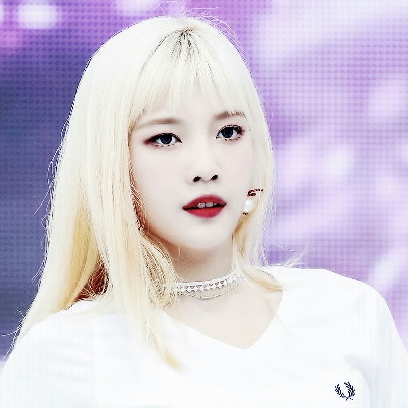 설리됴이조이 프로필