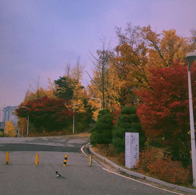 룽디룽 프로필