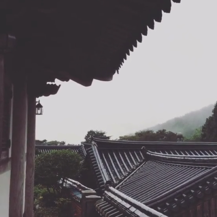 리뷰어 프로필