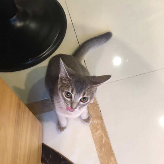 말짱도루묵 프로필