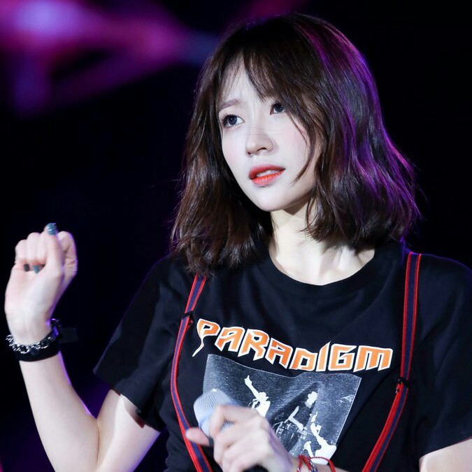도도찡 프로필