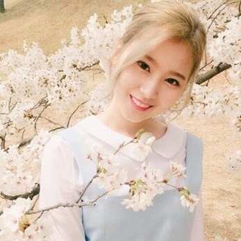 소야이 프로필