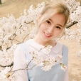 소야이