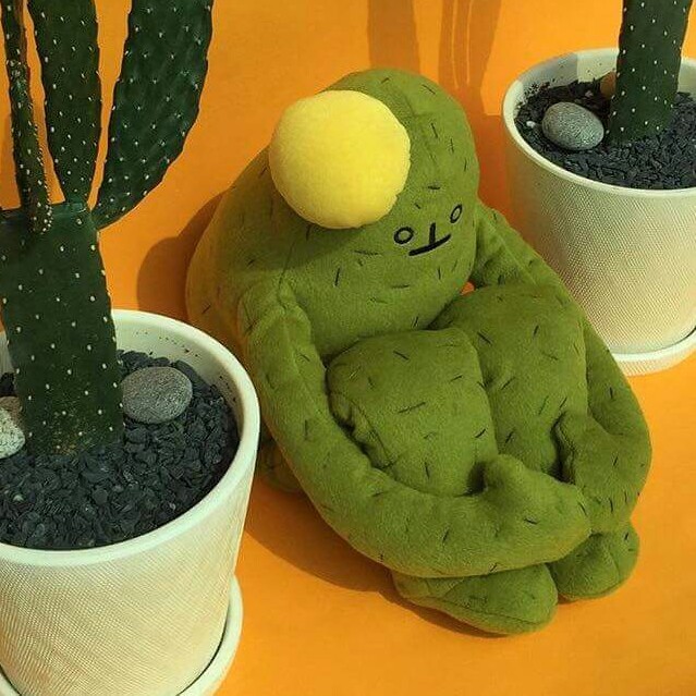 리뷰어 프로필