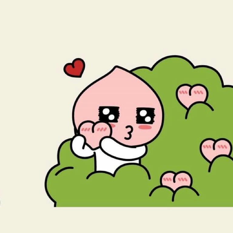 토리토리쪼 프로필
