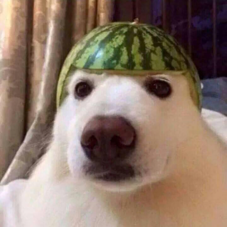 리뷰어 프로필