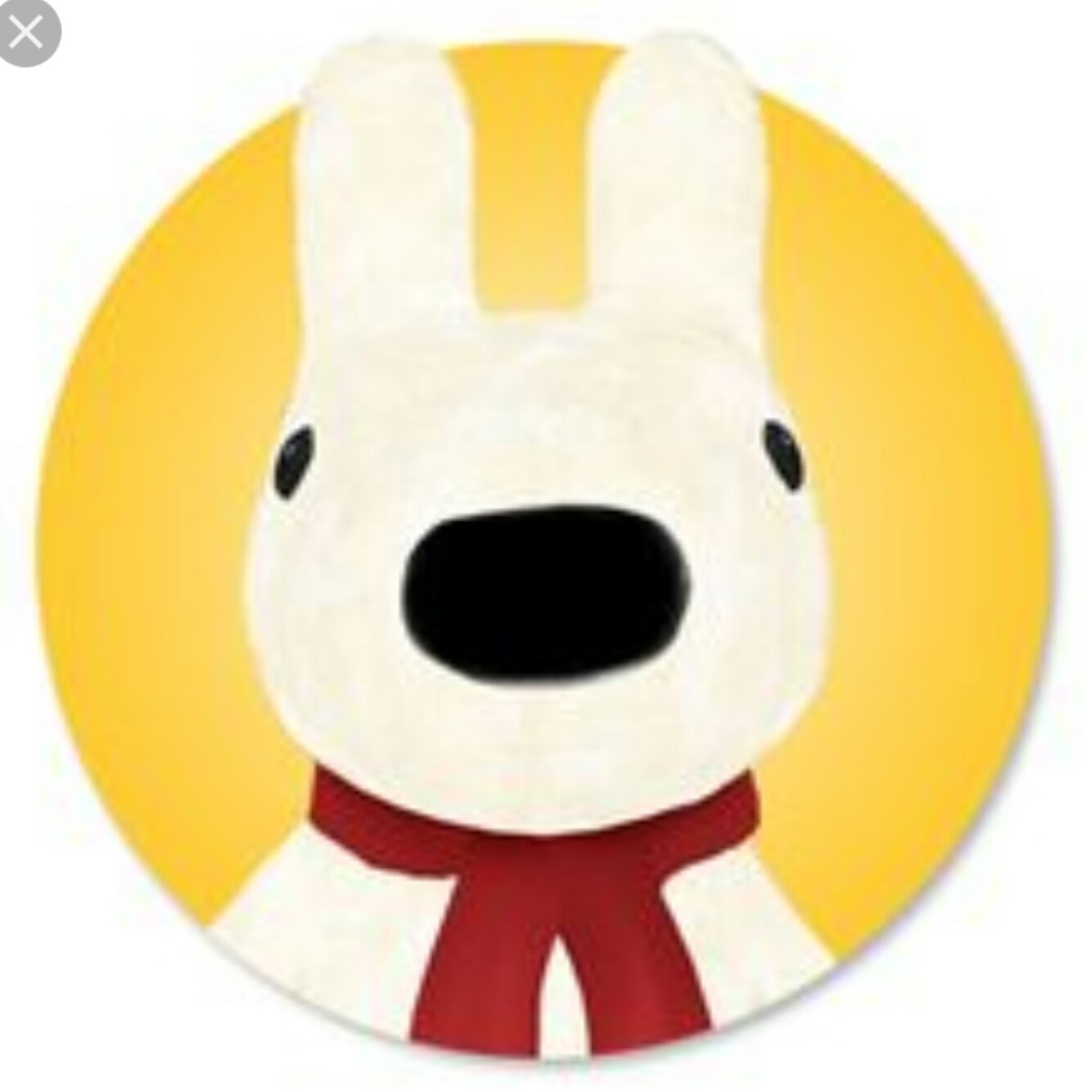 초코COOKI2 프로필