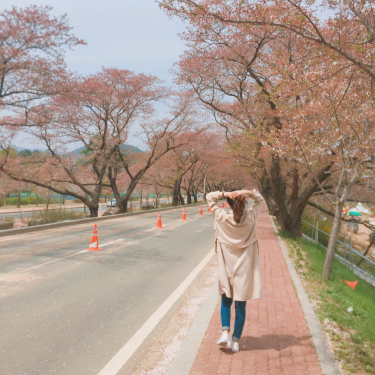 드리머스 프로필