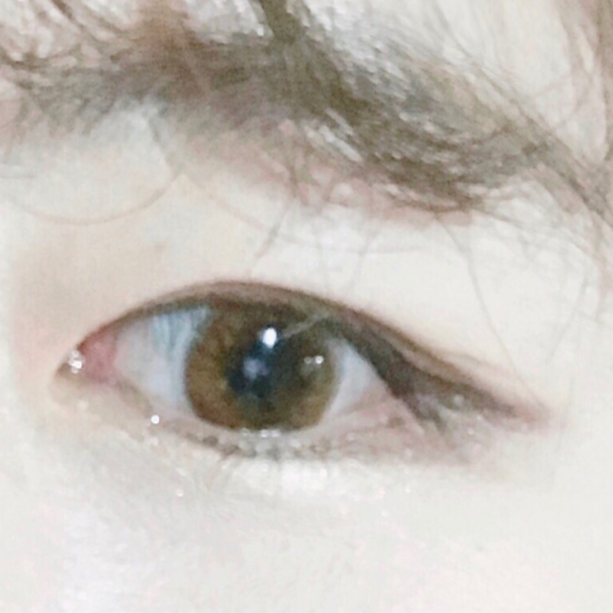 도쓰 프로필