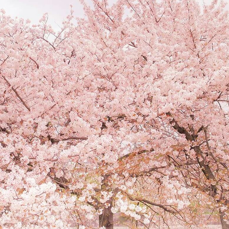 리뷰어 프로필
