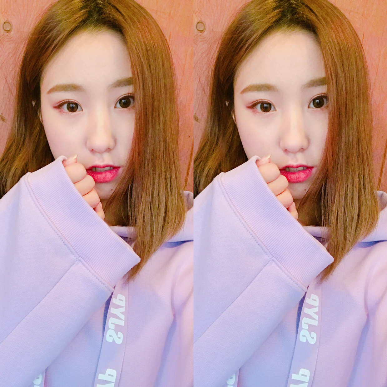 설공주s 프로필