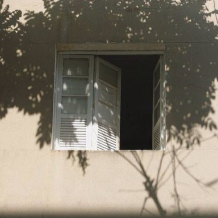 민샹 프로필