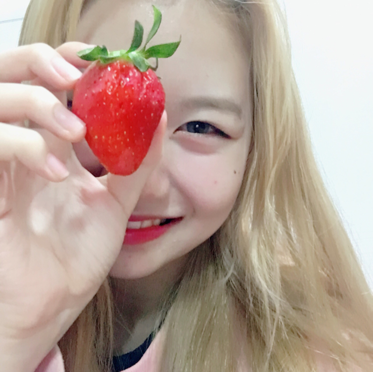 sulli 프로필
