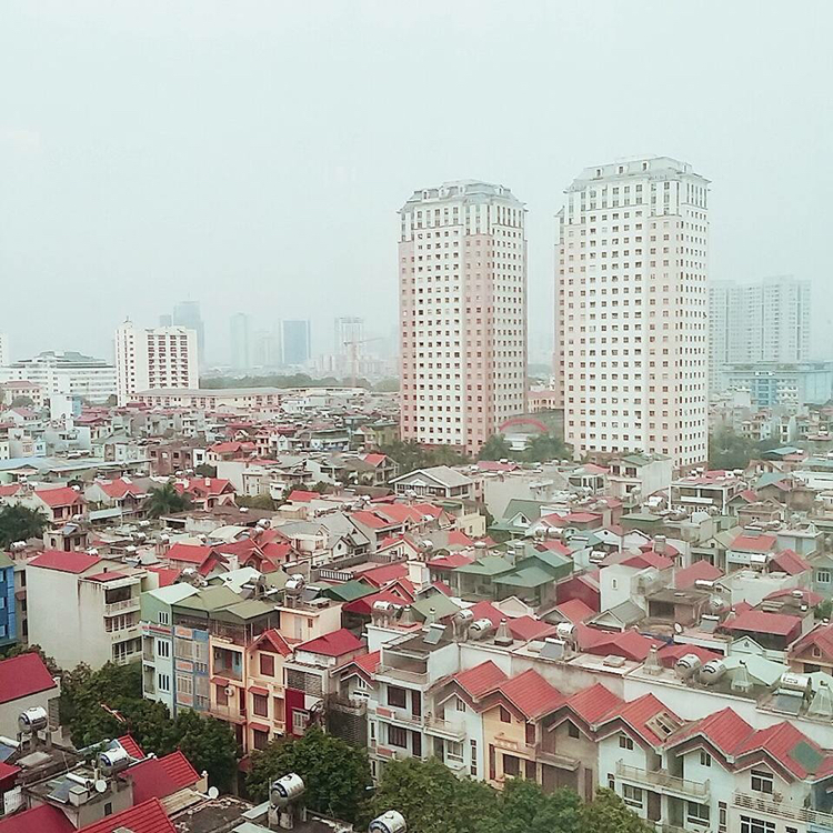 현돼징 프로필