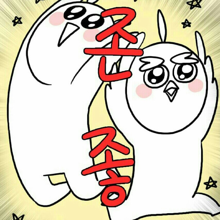 damdami 프로필