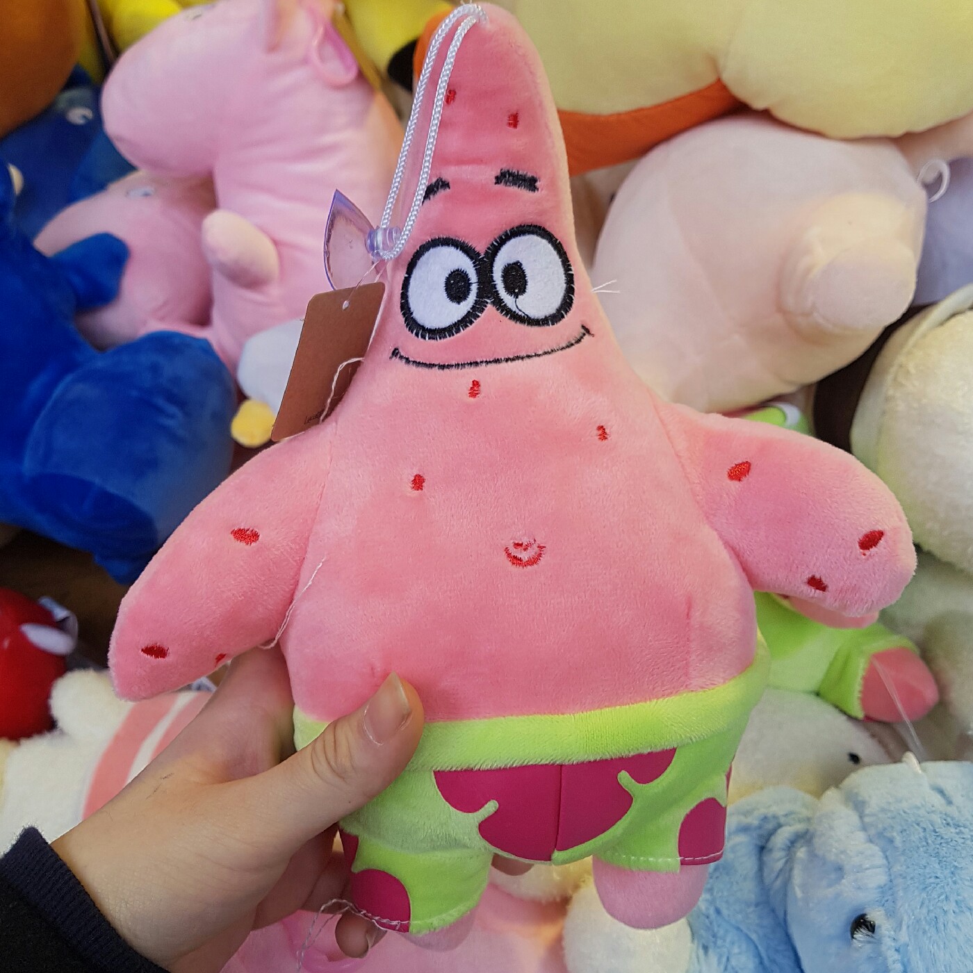 훈은훈운 프로필