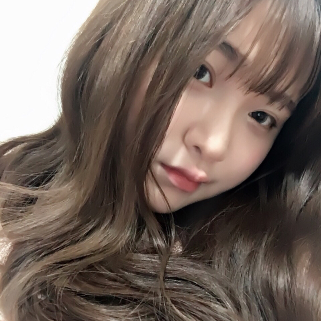 유하라 프로필