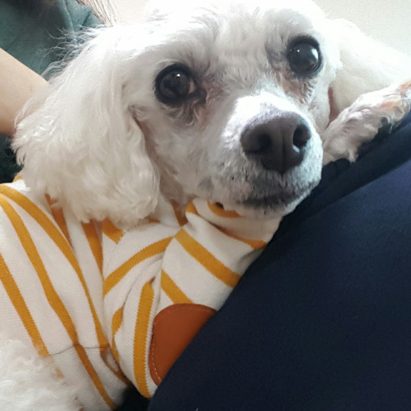 감귤공원 프로필