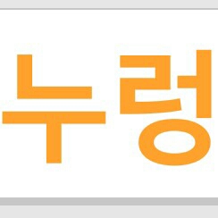 ceion 프로필